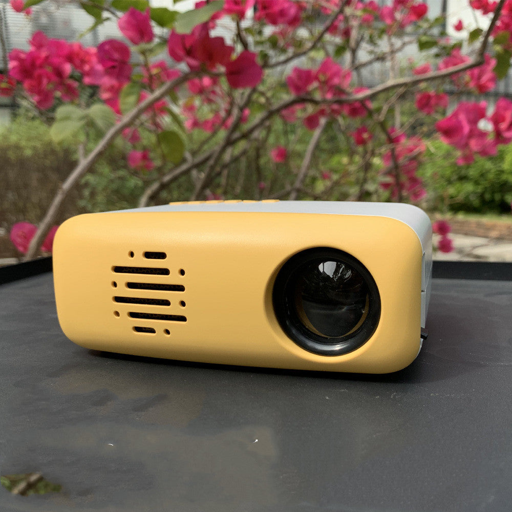 Portable Projector