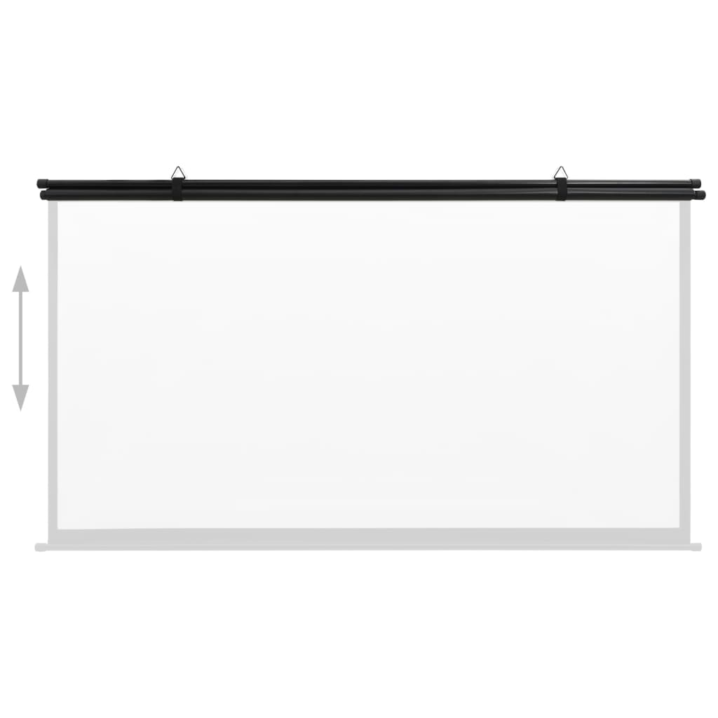 vidaXL Projection Screen 100" 16:9