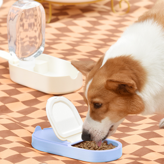 Dog Kettle Portable Pet Products Stylish Personality