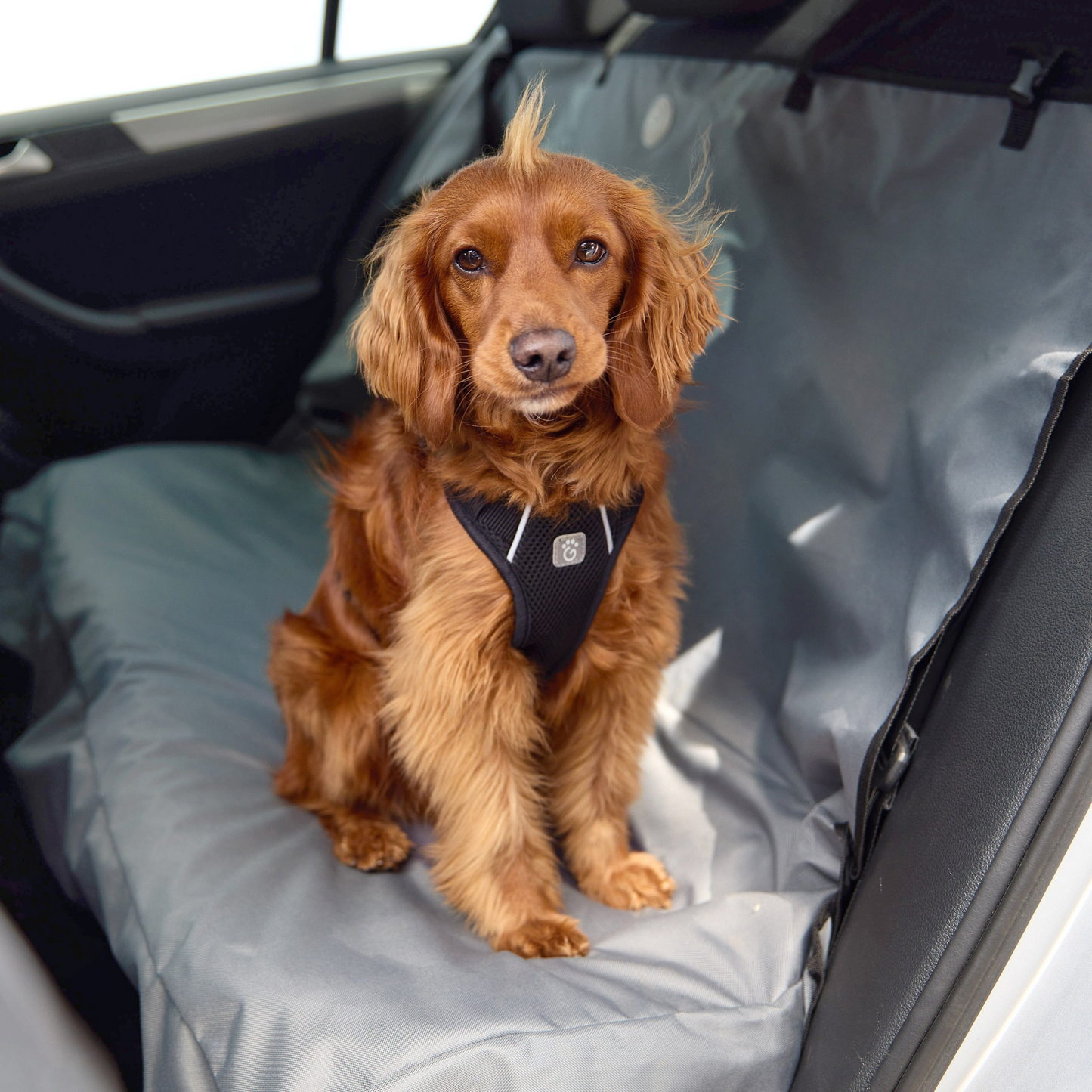 Pet Bench Cover headrest straps use seatbelt