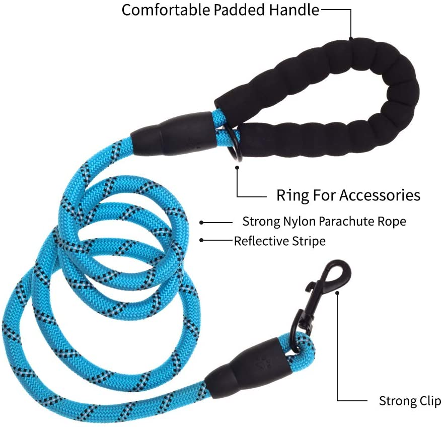 5 FT Thick Highly Reflective Dog Leash- Blue