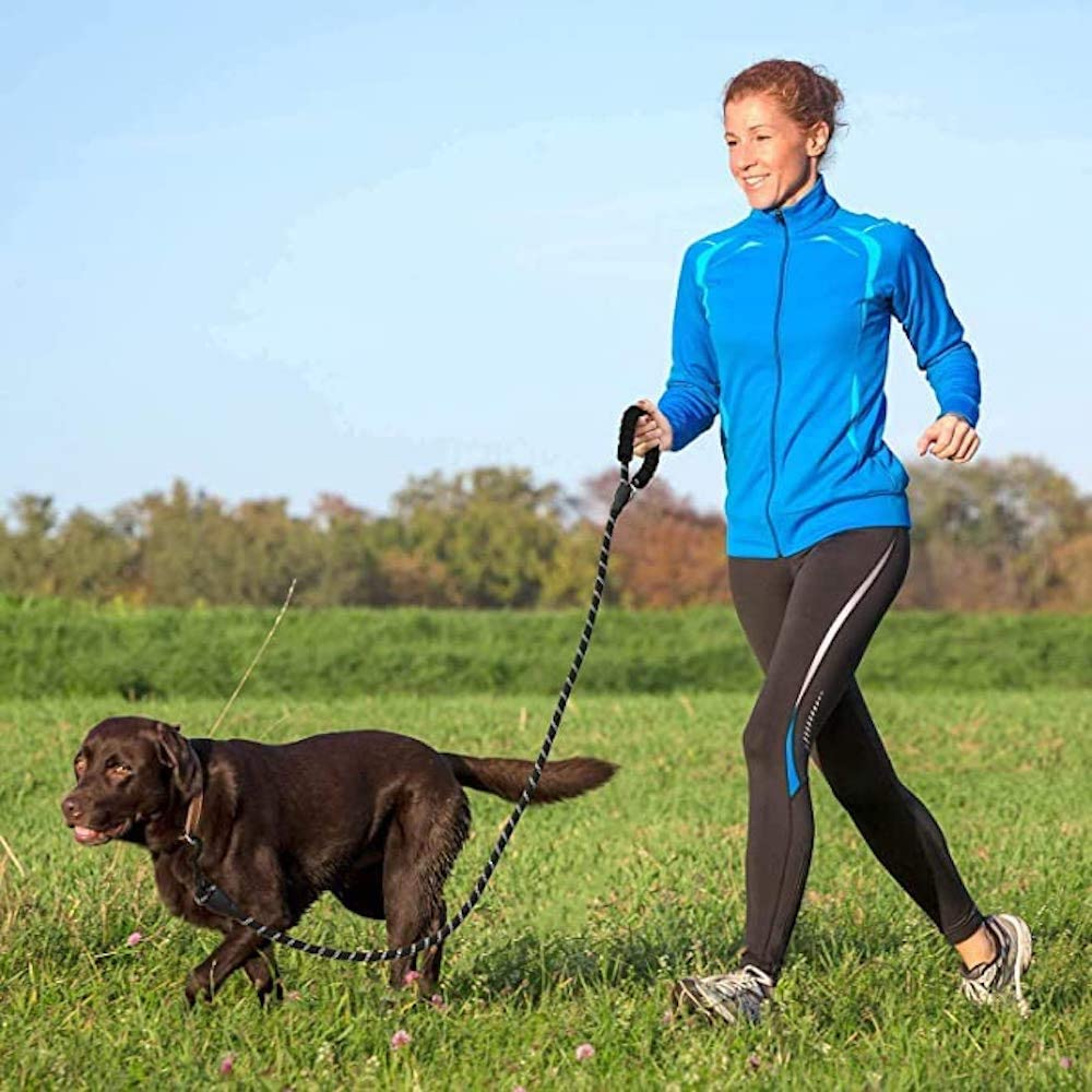 5 FT Thick Highly Reflective Dog Leash-Green