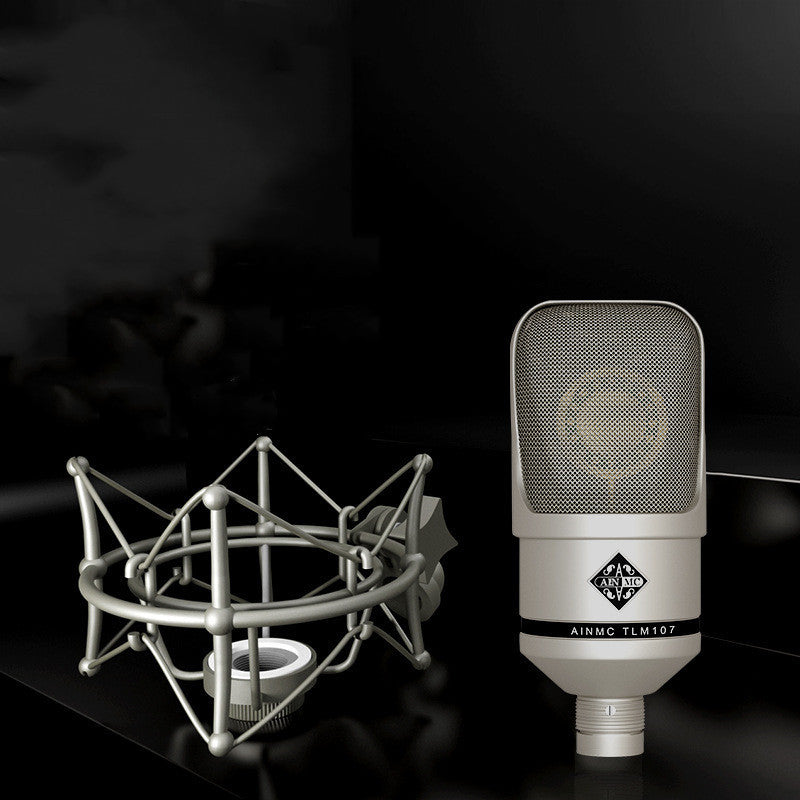 Studio Microphone Vocal Instrument