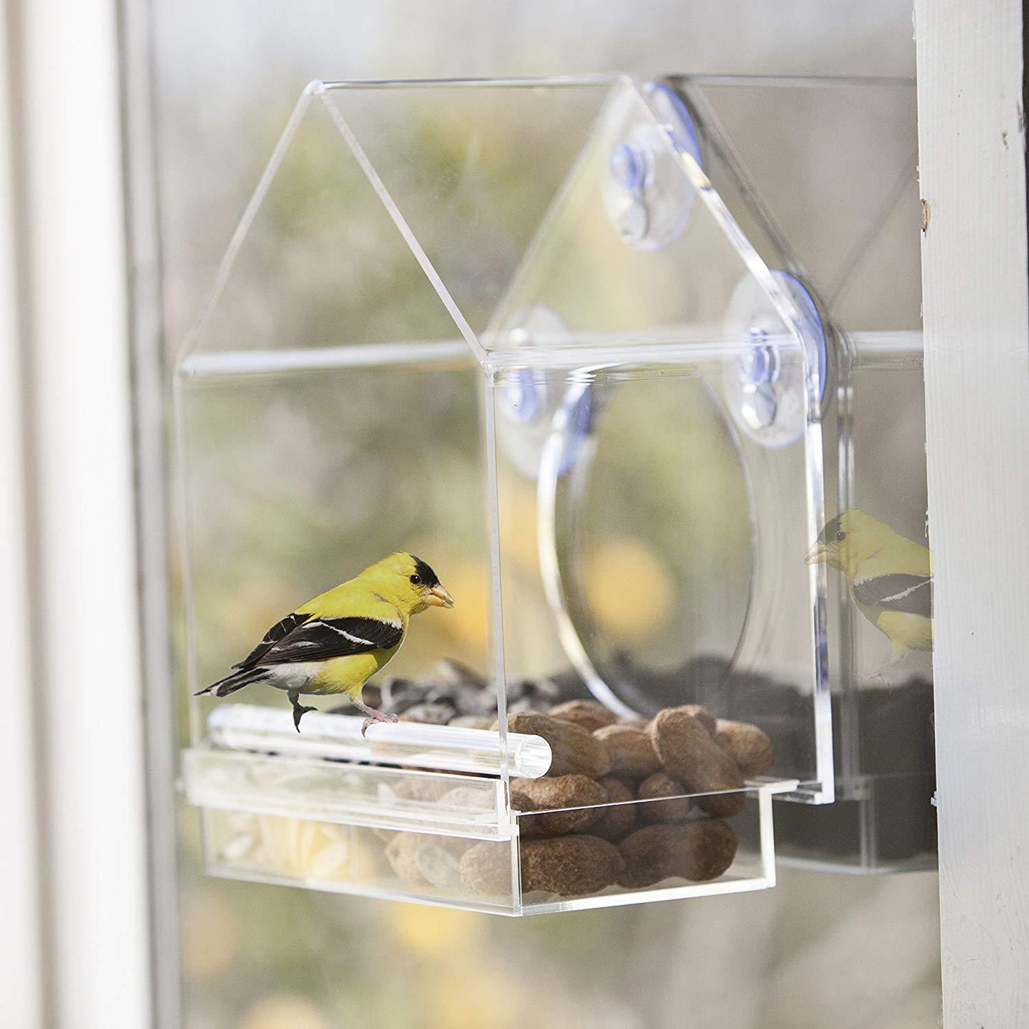 Hanging Acrylic Bird Feeder Transparent Acrylic Bird Cage