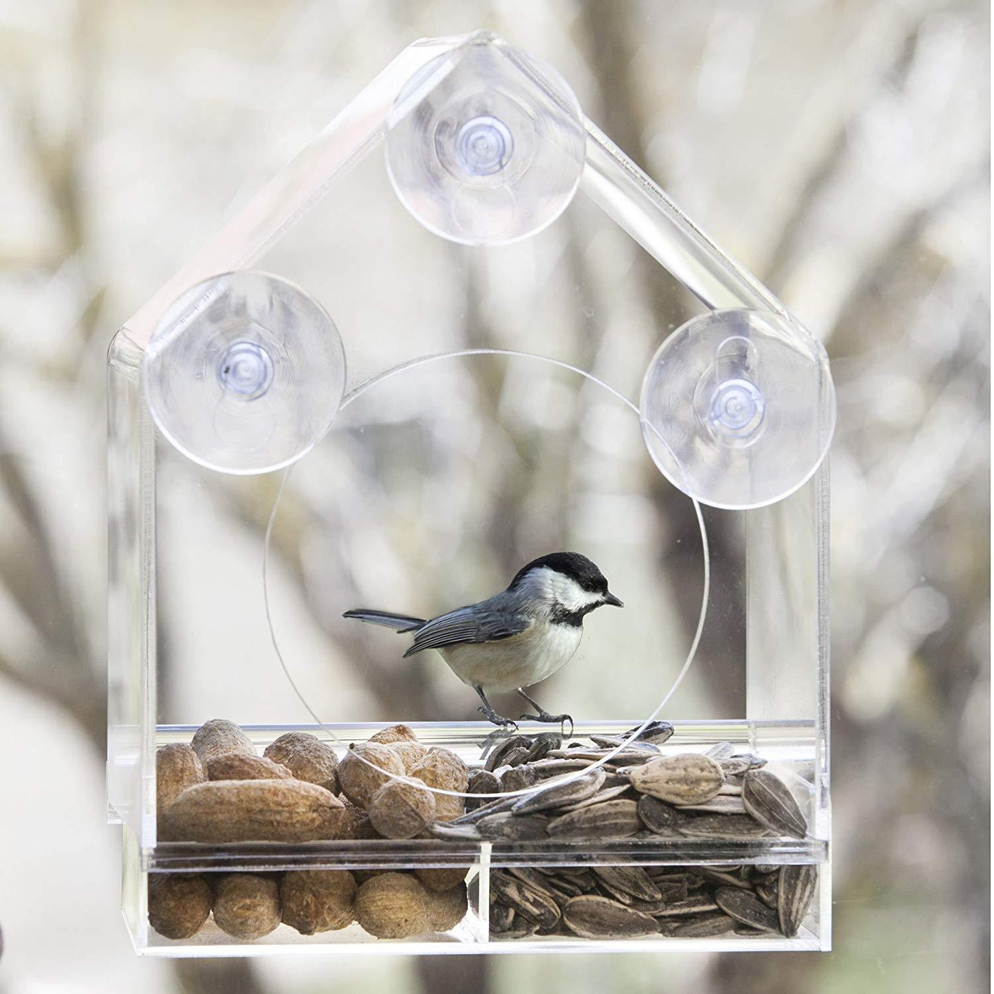 Hanging Acrylic Bird Feeder Transparent Acrylic Bird Cage