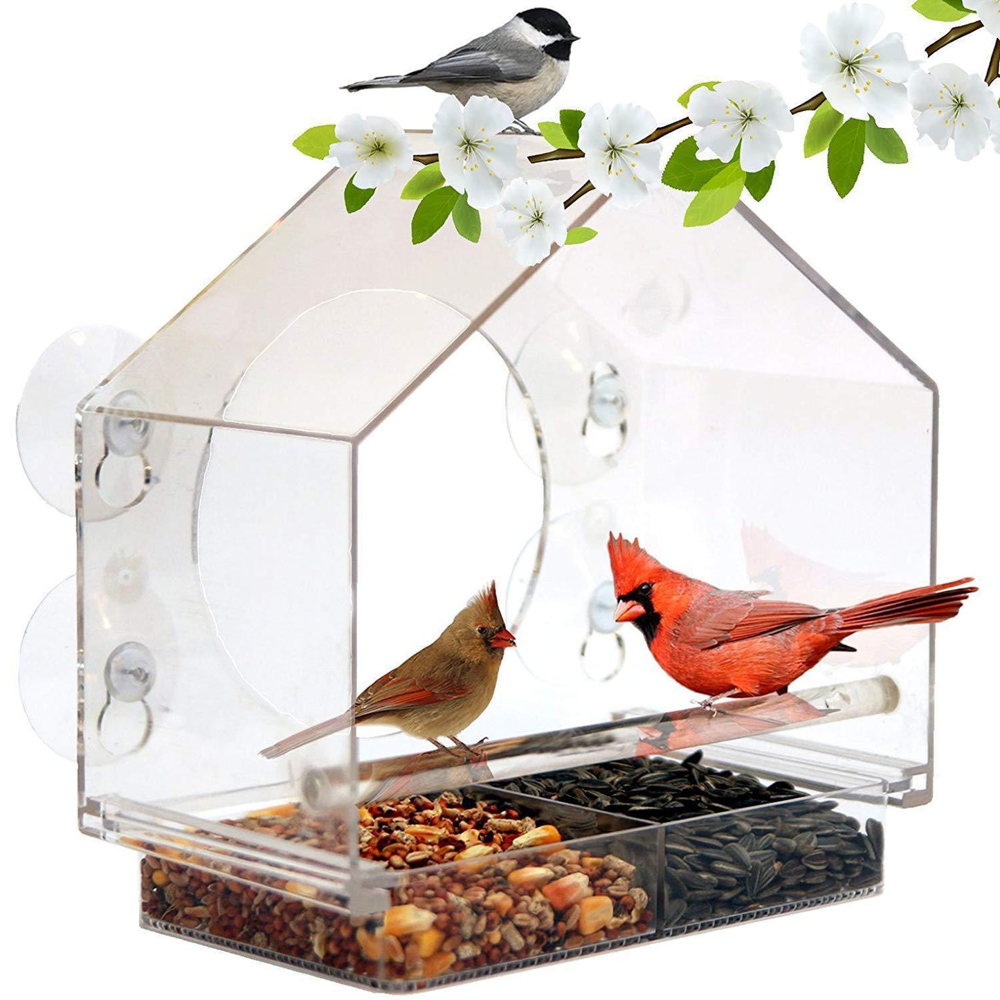 Hanging Acrylic Bird Feeder Transparent Acrylic Bird Cage