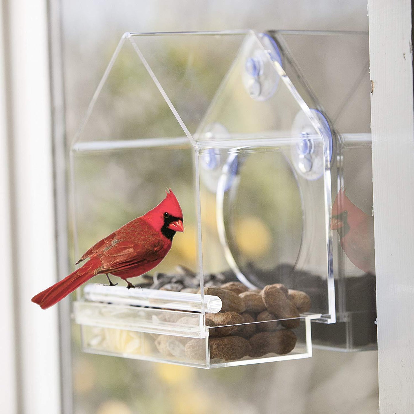 Hanging Acrylic Bird Feeder Transparent Acrylic Bird Cage