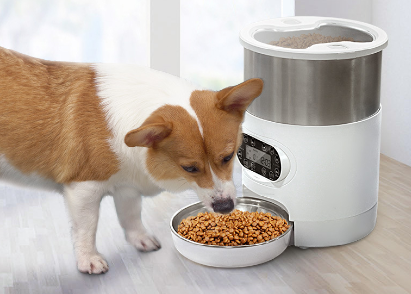 Automatic dispenser with stainless steel bowl for cats and dogs. with the Smart APP.